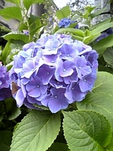c6d5c8f4.jpg