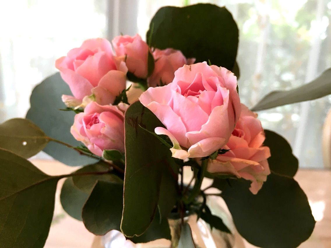 Image-3