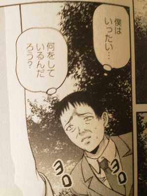 NEC_0013