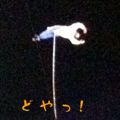 Fuji2011_sun8