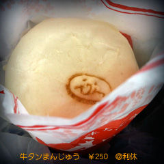 Fuji2011_sat1