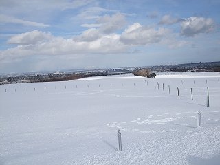 DSCF4256