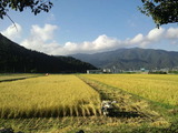 CA3I0011