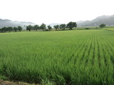 CA3I0028