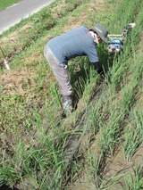 CA3I0007