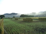 CA3I0011
