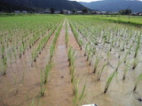 CA3I0015