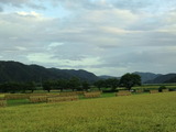 CA3I0017