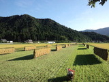 CA3I0008