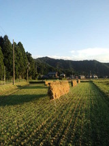 CA3I0008