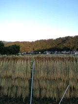 CA3I0032