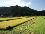 CA3I0004