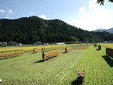 CA3I0007