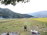 CA3I0015