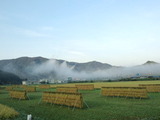 CA3I0012