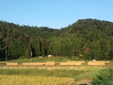 CA3I0006