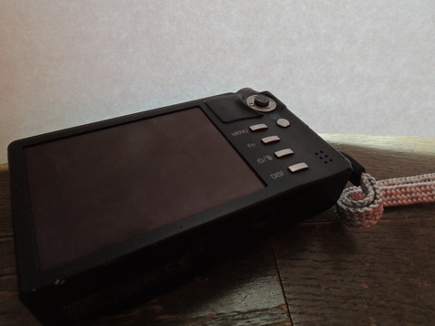 DSCN0244