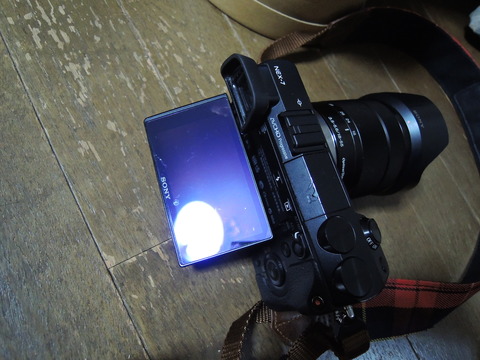 DSCN0281