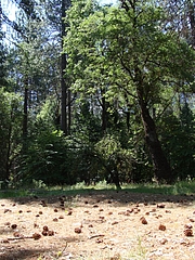 2009 197 2009 197