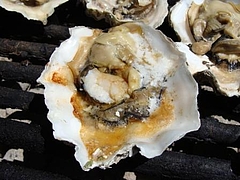Alan Sieroty Beach@Tomales Bay 5