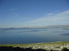2009 316 2009 316