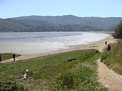 Alan Sieroty Beach@Tomales Bay 1