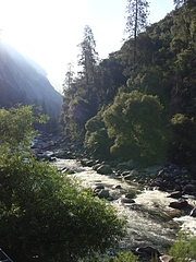 2009 146 2009 146