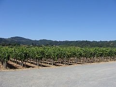 winery@sonoma, ca winery@sonoma, ca