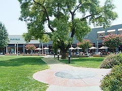 Davis,CA
