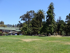 People's Park@Berkeley,CA People's Park@Berkeley,CA