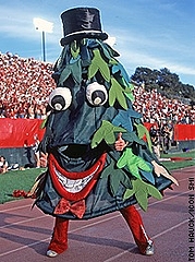 stanfordtree