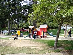2009 1148 2009 1148