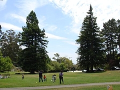 2009 1165 2009 1165