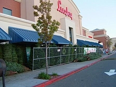 American_Sweets8@Bay Area 2