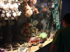 Monterey Bay Aquarium Monterey Bay Aquarium
