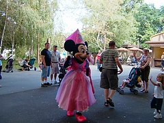 ディズニー・アナハイム 7