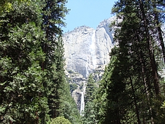 2009 225 2009 225