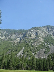 2009 171 2009 171
