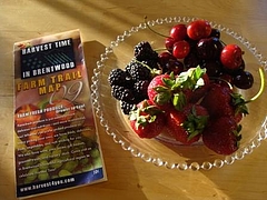 Fruits at Brentwood 17