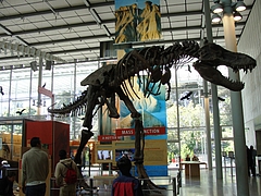California Aacademy of Science California Aacademy of Science