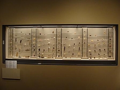 Asian Art Museum San Francisco 3 9