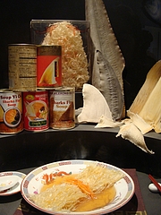 2009 1274 2009 1274