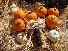 Halloween_American_Sweets 19