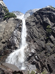 2009 247 2009 247