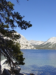 2009 296 2009 296