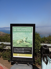 View from Hawk-Hill and Battery-Spencer@SF View from Hawk-Hill and Battery-Spencer@SF