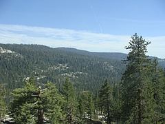 2009 288 2009 288