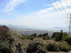 2009 1181 2009 1181