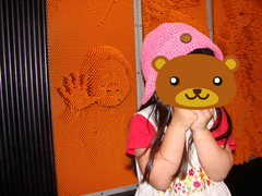 2009 1483