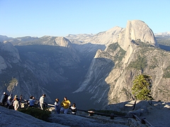 2009 115 2009 115